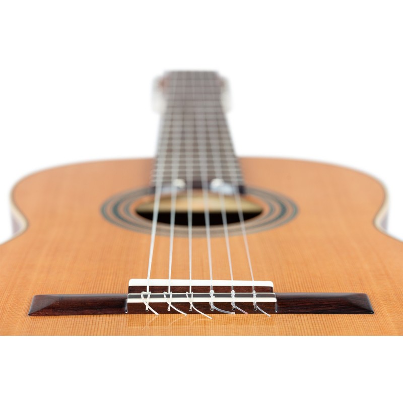 Ortega R18G Traditional Series - Gitara klasyczna 4/4 z pokrowcem