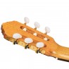 Ortega R20GRG Traditional Series - Gitara klasyczna 4/4 z pokrowcem