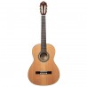 Ortega R20GSNRG Traditional Series - Gitara klasyczna 4/4 z pokrowcem