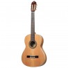 Ortega R20GSNRG Traditional Series - Gitara klasyczna 4/4 z pokrowcem