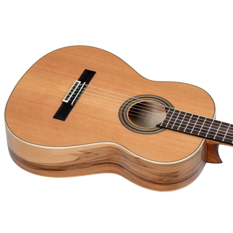 Ortega R20GSNRG Traditional Series - Gitara klasyczna 4/4 z pokrowcem
