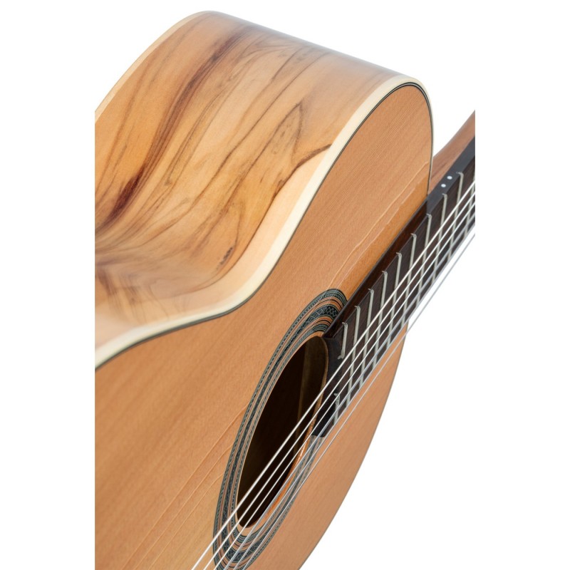 Ortega R20GSNRG Traditional Series - Gitara klasyczna 4/4 z pokrowcem