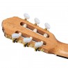 Ortega R20GSNRG Traditional Series - Gitara klasyczna 4/4 z pokrowcem