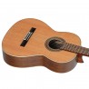 Ortega R20GSNWN Traditional Series - Gitara klasyczna 4/4 z pokrowcem