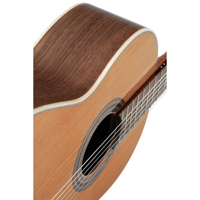 Ortega R20GSNWN Traditional Series - Gitara klasyczna 4/4 z pokrowcem