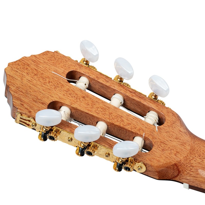 Ortega R20GSNWN Traditional Series - Gitara klasyczna 4/4 z pokrowcem