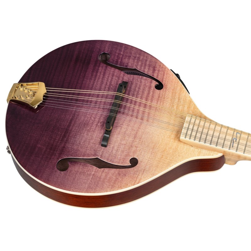 Ortega RMAE200PF Americana Series A-Style - Mandolina z futerałem