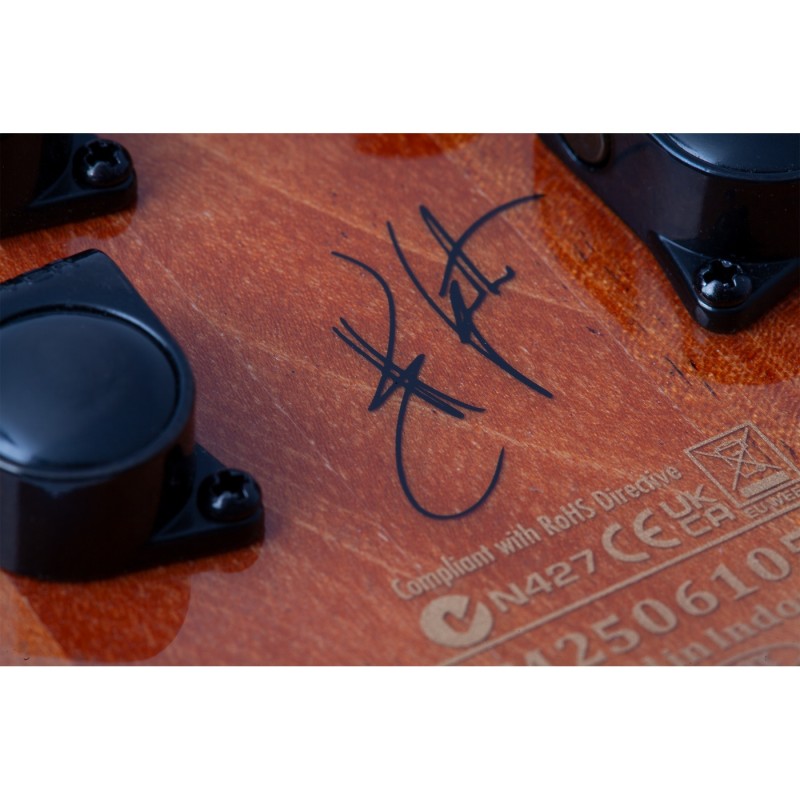 Schecter SC1752 Synyster Standard Plus FR - Gitara elektryczna