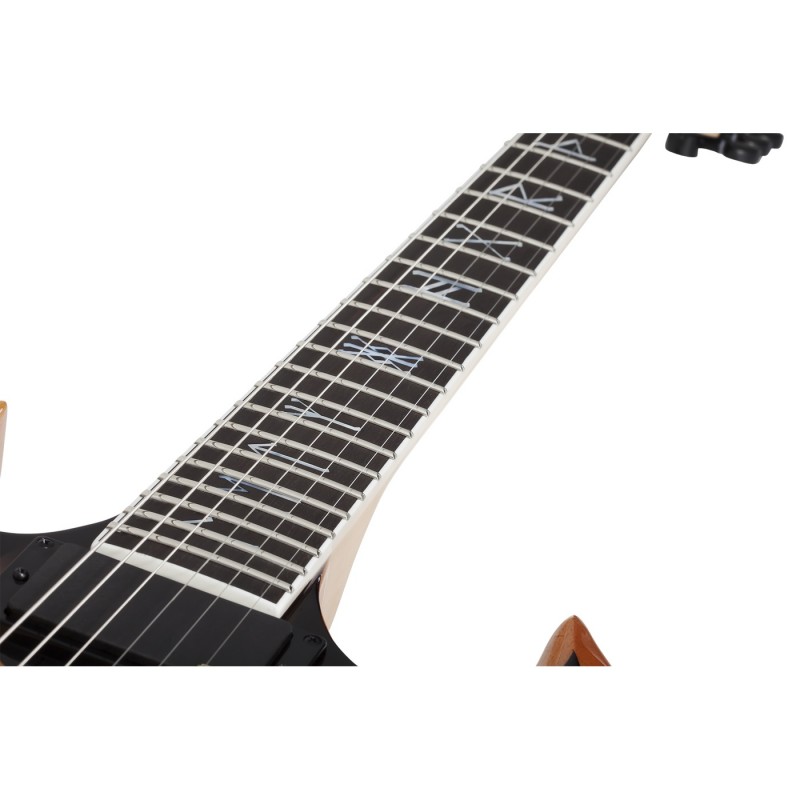 Schecter Wylde Audio Barbarian - Gitara elektryczna - 10 - Strona główna - 