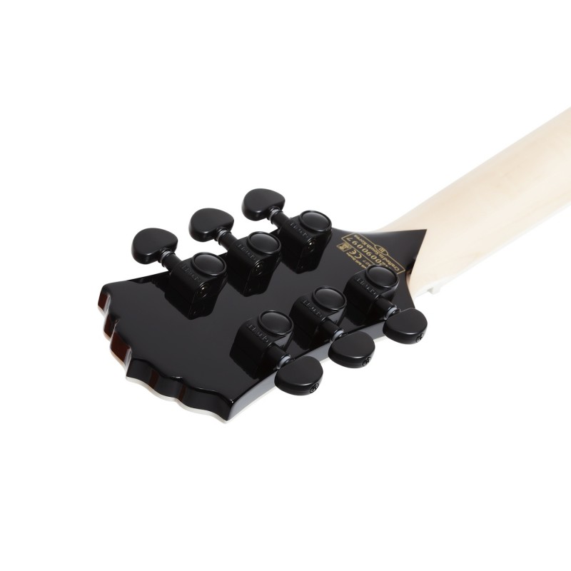 Schecter Wylde Audio Barbarian - Gitara elektryczna - 13 - Strona główna - 