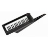 Korg RK-100S2 BLACK - keytar