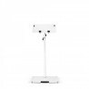Gravity LTS T 02 W - statyw na laptop biały