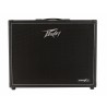 Peavey VYPYR X2 - combo gitarowe 40W