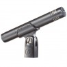 Audio Technica AT2031 - mikrofon pojemnościowy