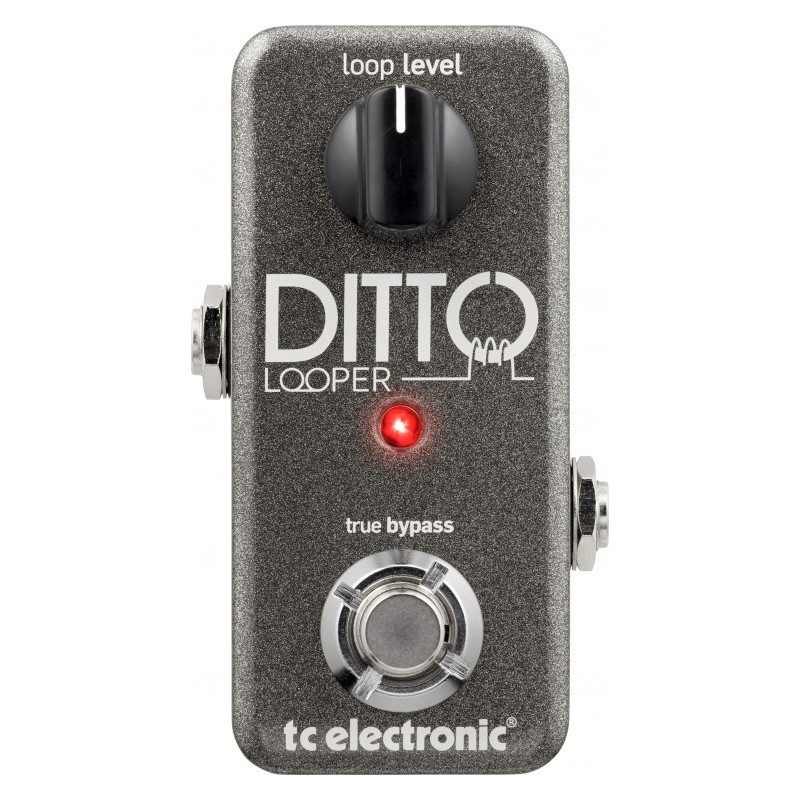 TC ELECTRONIC Ditto Looper - efekt gitarowy
