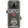 TC ELECTRONIC Ditto Looper - efekt gitarowy