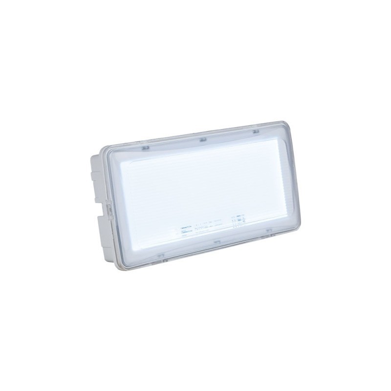 Showgear Safeled Emergencylight - Światło wyjście awaryjne - 34000
