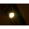 EUROLITE LED PML-80 COB RGB 80W - Par Cob Led
