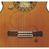 FISHMAN SBT-C - Przetwornik gitarowy