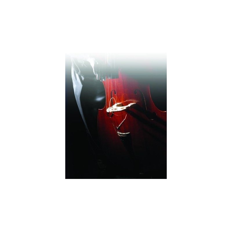 FISHMAN PRO FCL 002 - Przetwornik do kontrabasu