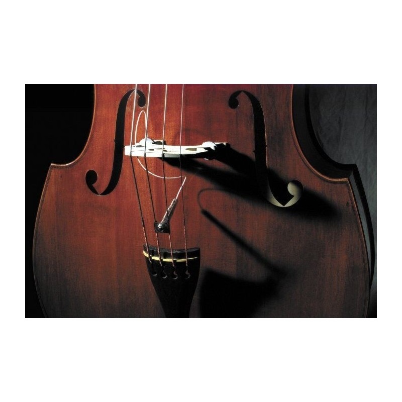 FISHMAN PRO FCL 002 - Przetwornik do kontrabasu