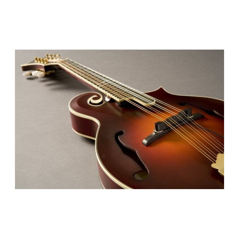 FISHMAN M-300 - Przetwornik do mandoliny