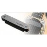 FISHMAN NEO-D Single Coil - Przetwornik gitarowy