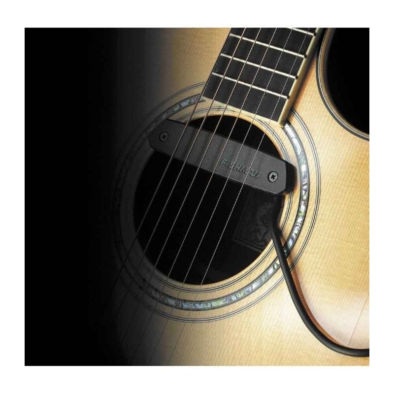 FISHMAN NEO-D Single Coil - Przetwornik gitarowy