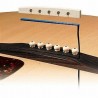 FISHMAN AG series Ukulele format  - Przetwornik gitarowy