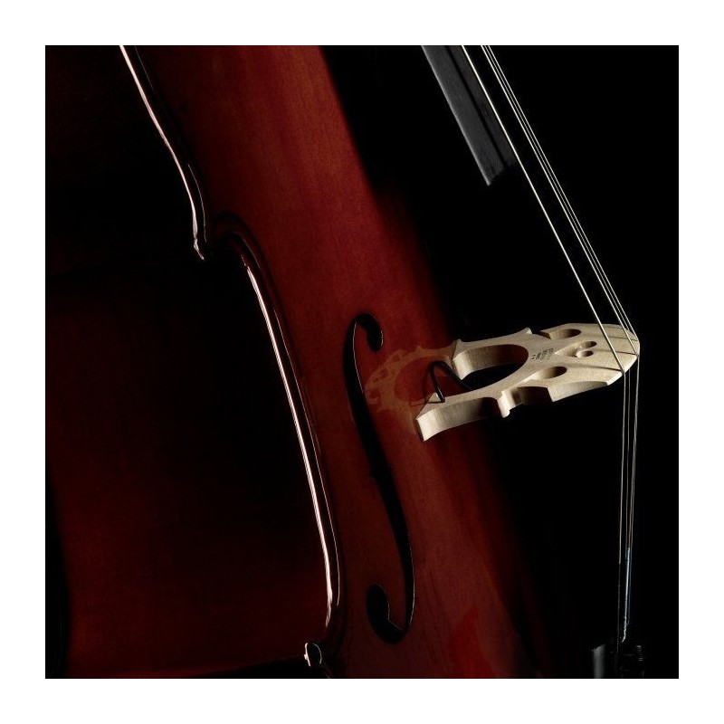 FISHMAN C-200 Concert - Przetwornik do wiolonczeli