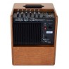ACUS One-6T Wood - combo gitarowe