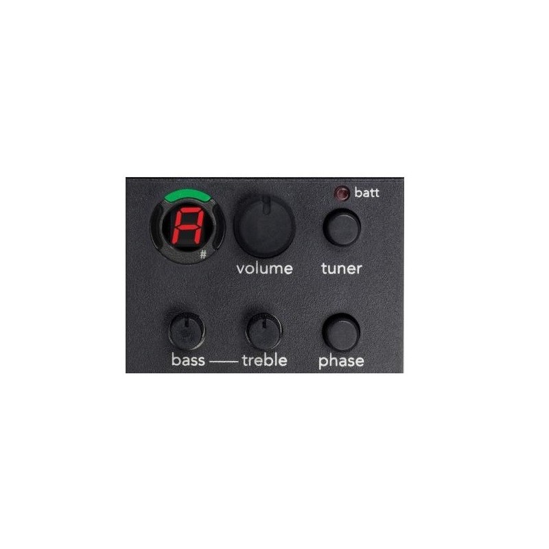 Cuenca 5N CW EZ - gitara elektroklasyczna