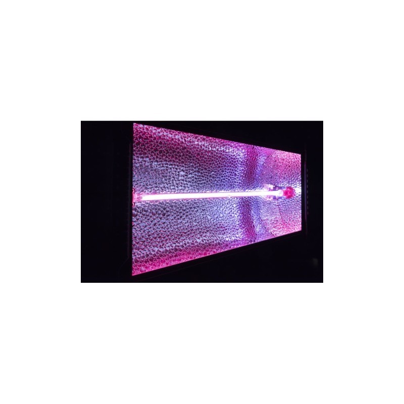Showtec Titan Strobe BLAZE - Stroboskop RGB - 40297