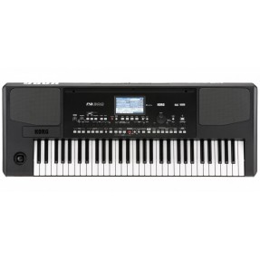 Korg PA300 - keyboard