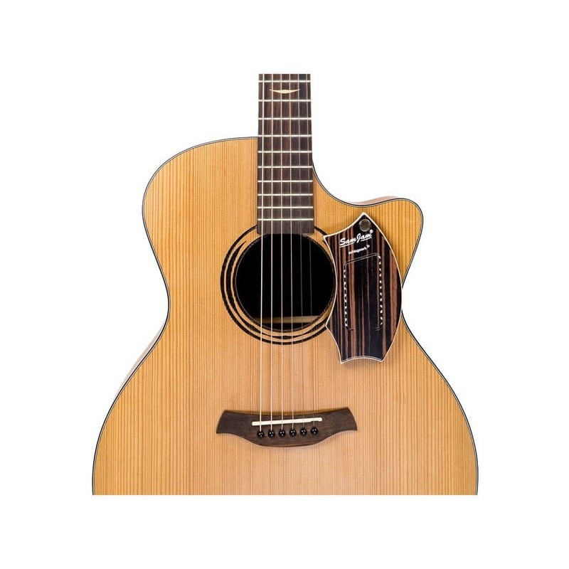 Schlagwerk SJ110M - SamJam Guitar Snare