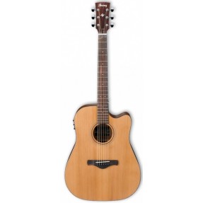 Ibanez AW65ECE-LG - gitara elektroakustyczna