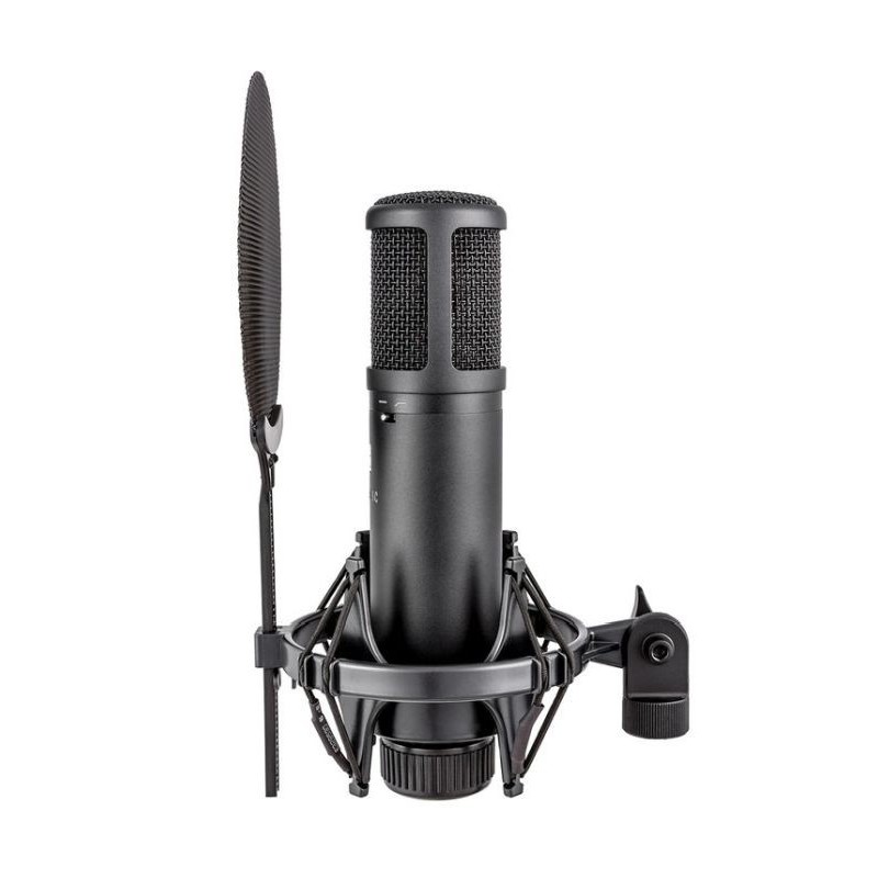 SE ELECTRONIC sE 2200 – Mikrofon pojemnościowy