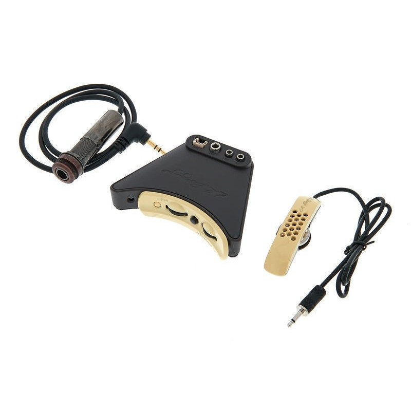 LR BAGGS ANTHEM - System pickup