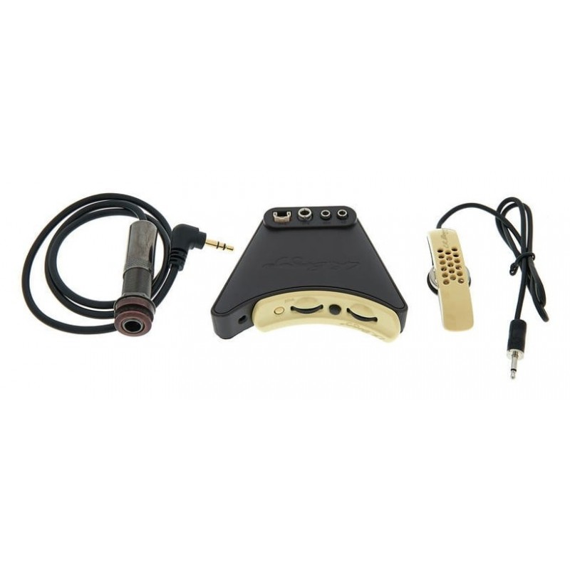 LR BAGGS ANTHEM - System pickup