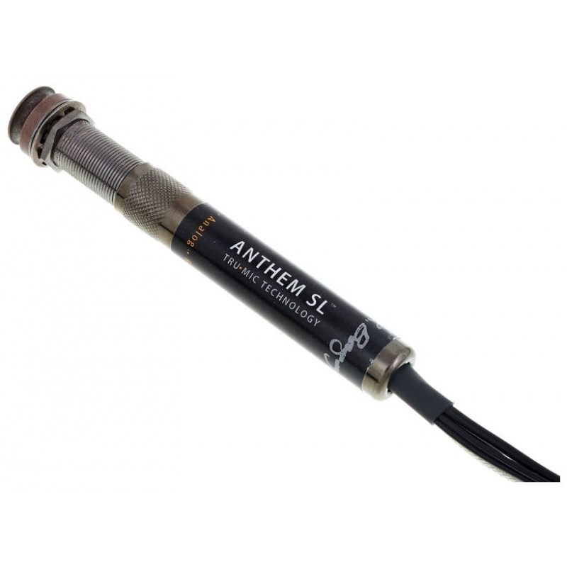 LR BAGGS ANTHEM SL - System pickup