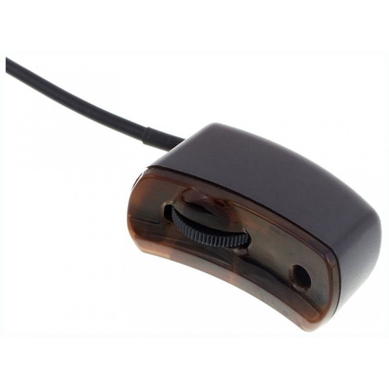 LR BAGGS LYRIC – Mikrofon do gitary akustycznej