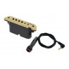 LR BAGGS M1 A - aktywny pickup magnetyczny