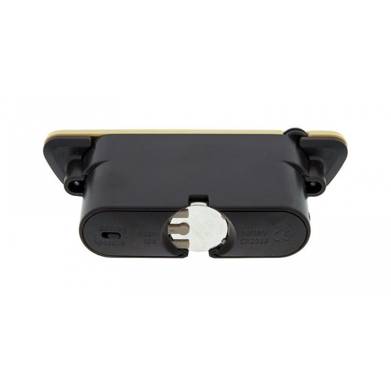 LR BAGGS M80 - aktywnyslspasywny przetwornik