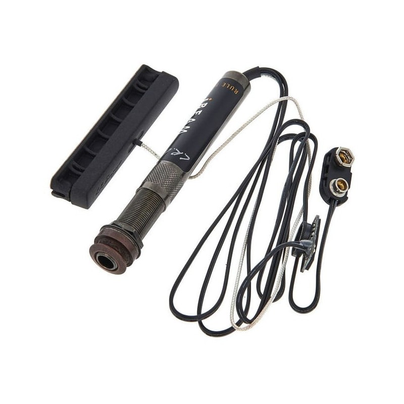 LR BAGGS iBeam Active System Classical - pickup