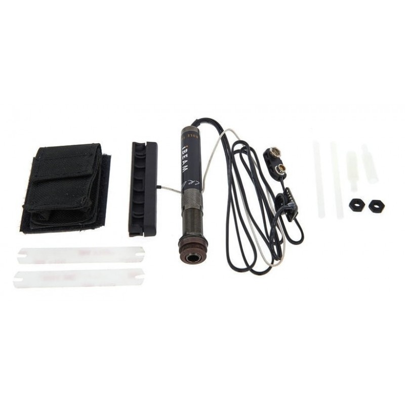 LR BAGGS iBeam Active System Classical - pickup