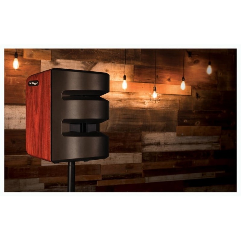 LR BAGG Synapse - wzmacniacz akustyczny