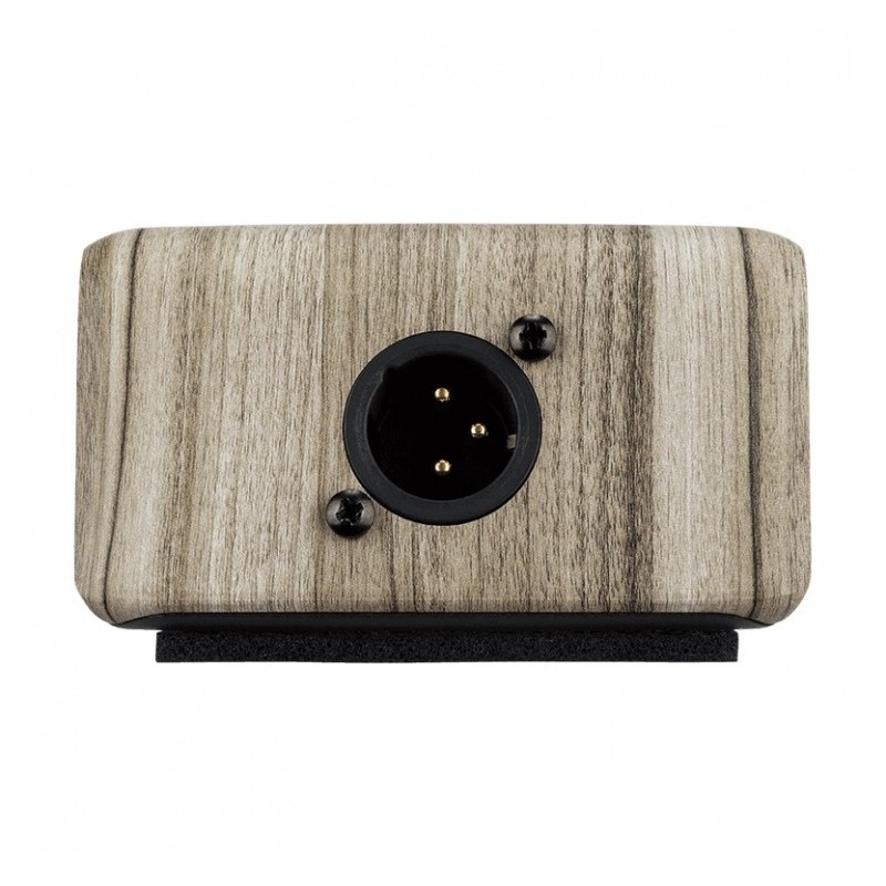 LR BAGGS Align ACTIVE DI - Efekt gitarowy