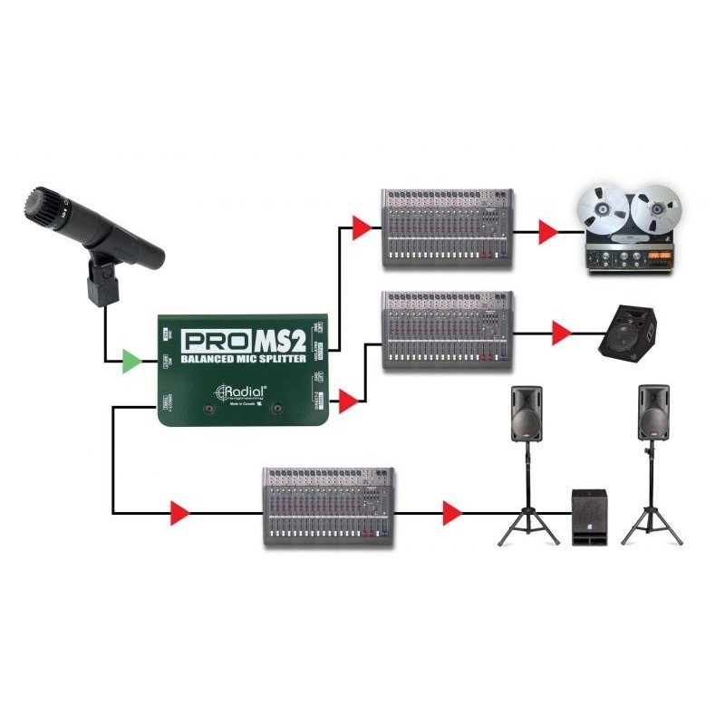 RADIAL PRO MS2 - splitter mikrofonowy