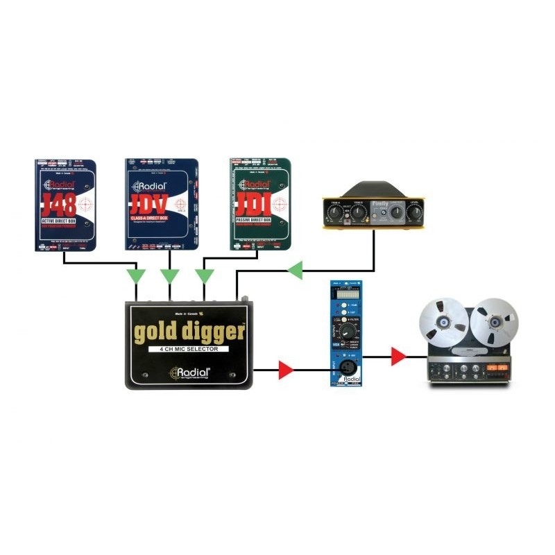Radial Pro Gold Digger - selektor mikrofonowy