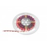EUROLITE LED Strip 300 5m 5050 RGB 12V - Taśma LED